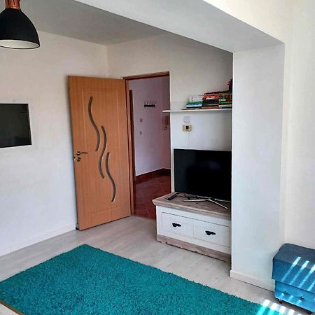 BistriţaParc Side Apartamentアパートメント エクステリア 写真